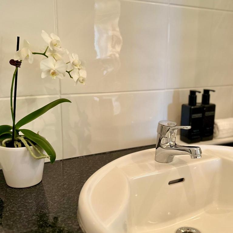 Emerald Inn on Takapuna Beach - Resim 17