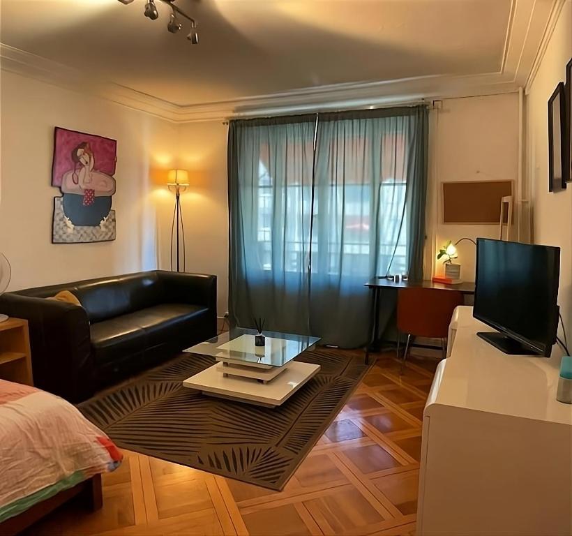 Gallery image of Spacious studio with balcony in Geneva