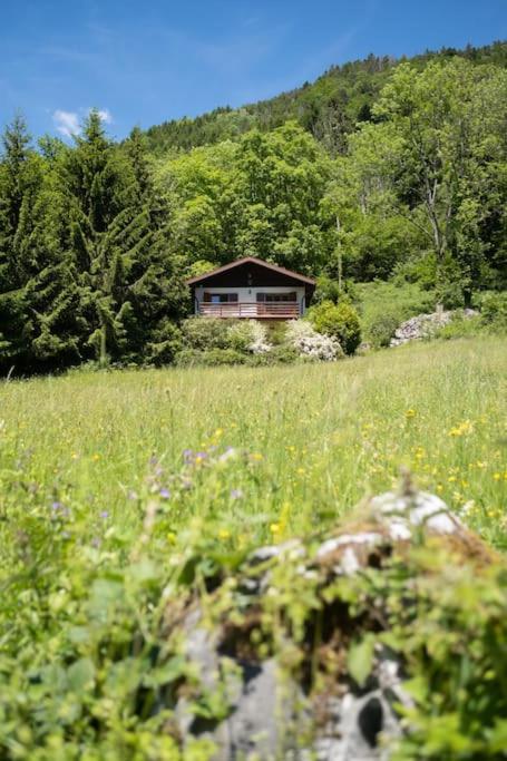 a house in the middle of a field at L&#39;Orée des Étoiles dans la Vallée de Munster in Stosswihr