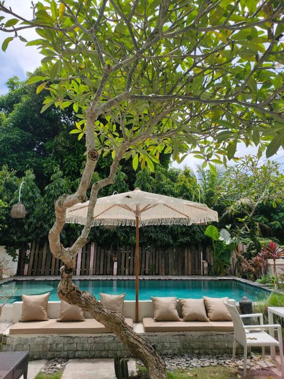 Un árbol con una sombrilla junto a una piscina. en Bingin Inn, en Uluwatu