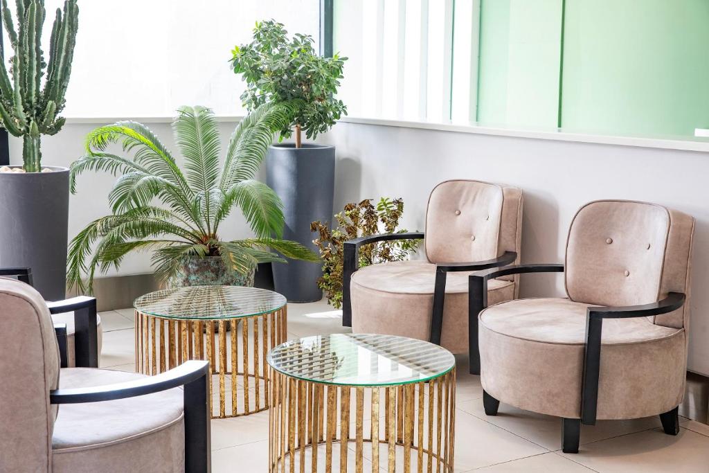 Hotel Nuevo Boston - Resim 37