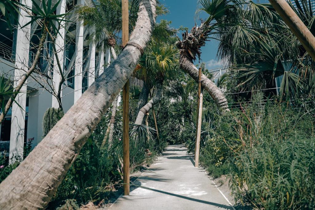Fotografie z fotogalerie ubytování BOTANICAL POOL CLUB v destinaci Kyonan