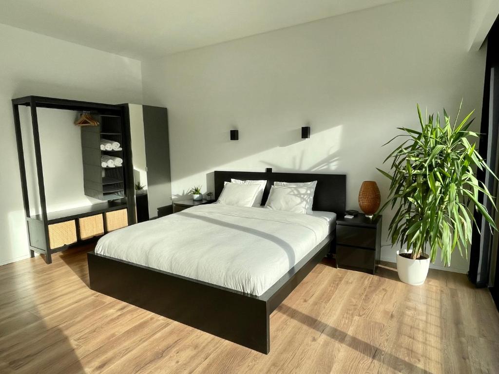 een slaapkamer met een bed en 2 potplanten bij BierBee in Bierbeek