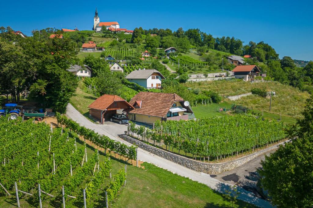 un pequeño pueblo en una colina con un montón de vides en Vineyard Cottage Hočevar With Sauna - Happy Rentals, en Novo Mesto