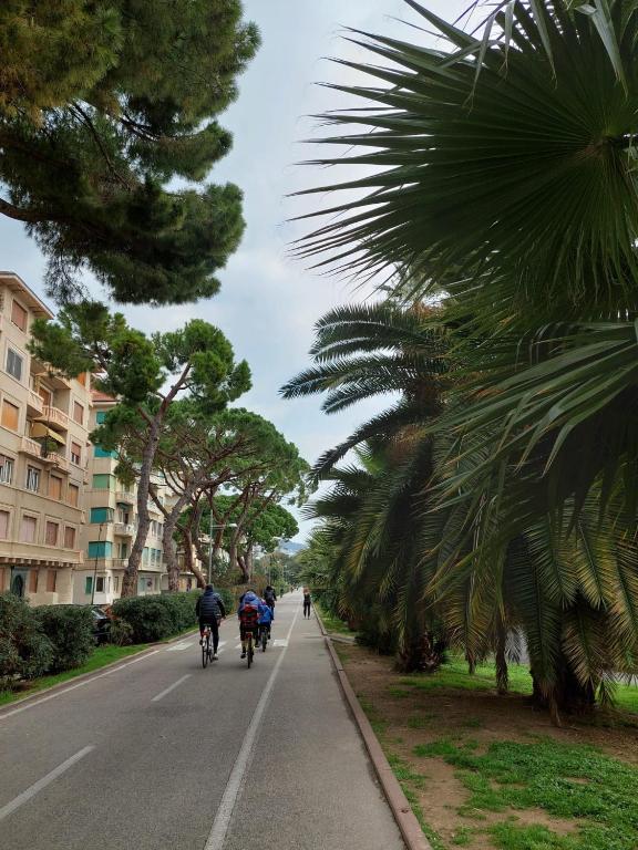 casa Timaloki - Sanremo centro - 带露台的公寓
