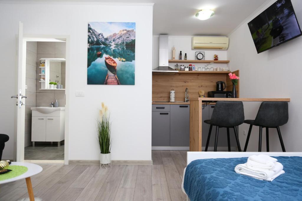 Kuchyň nebo kuchyňský kout v ubytování Studio apartman Antonio