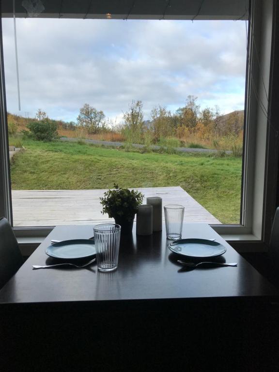 Aurora Borealis, Tromsø (updated prices 2024)