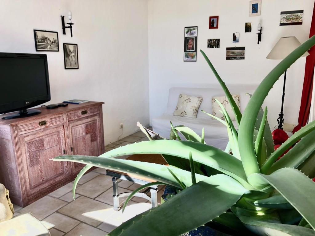 TV a/nebo společenská místnost v ubytování Gite du Coustal, Cajarc, Lot