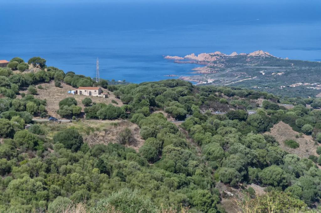 Bilo vista mare Trinità