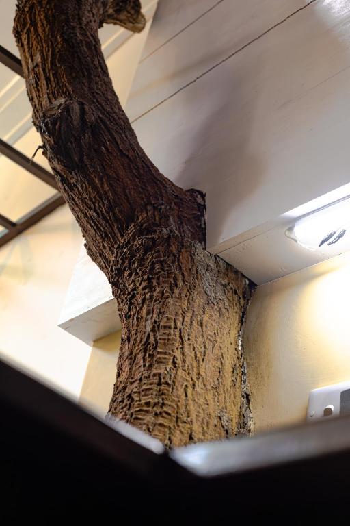 Arana Sri Lanka Eco Lodge and Yoga Center - 13