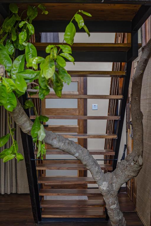 Arana Sri Lanka Eco Lodge and Yoga Center - 18