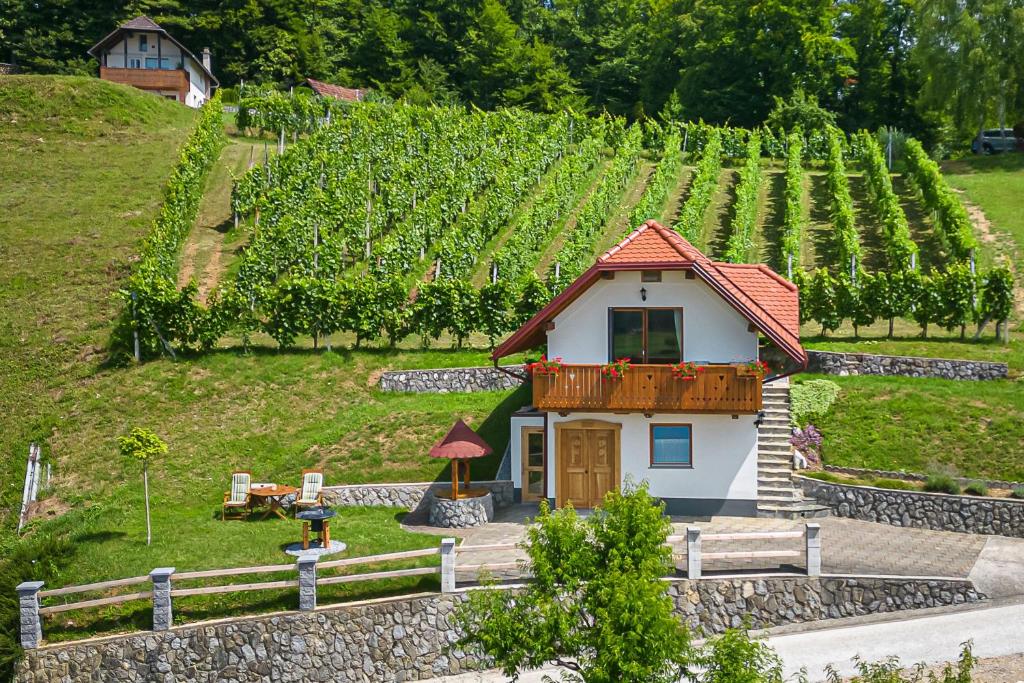ein kleines Haus inmitten eines Weinbergs in der Unterkunft Vineyard Cottage Krivic - Happy Rentals in Trebelno