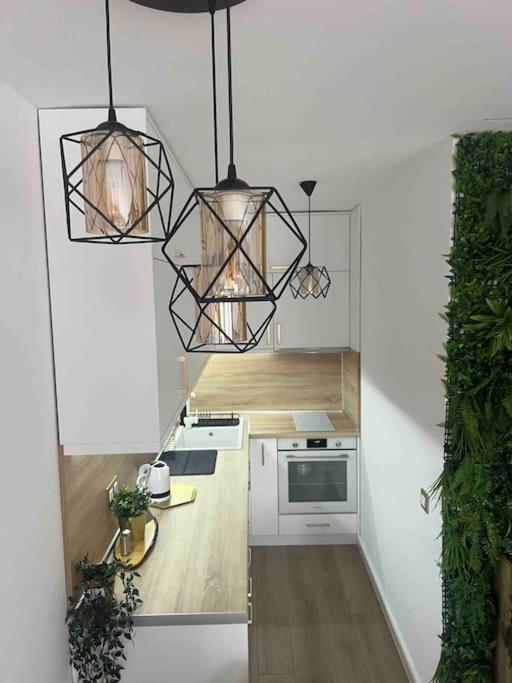 Kuchyň nebo kuchyňský kout v ubytování Cosy Appartement Green Life Bansko