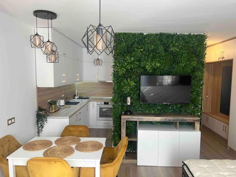 Kuchyň nebo kuchyňský kout v ubytování Cosy Appartement Green Life Bansko