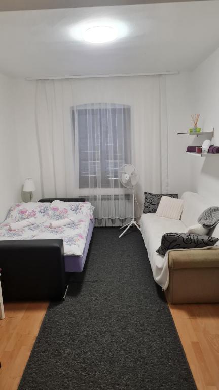 ein Schlafzimmer mit zwei Betten und einem Sofa darin in der Unterkunft Apartman "Britanac" in Zagreb
