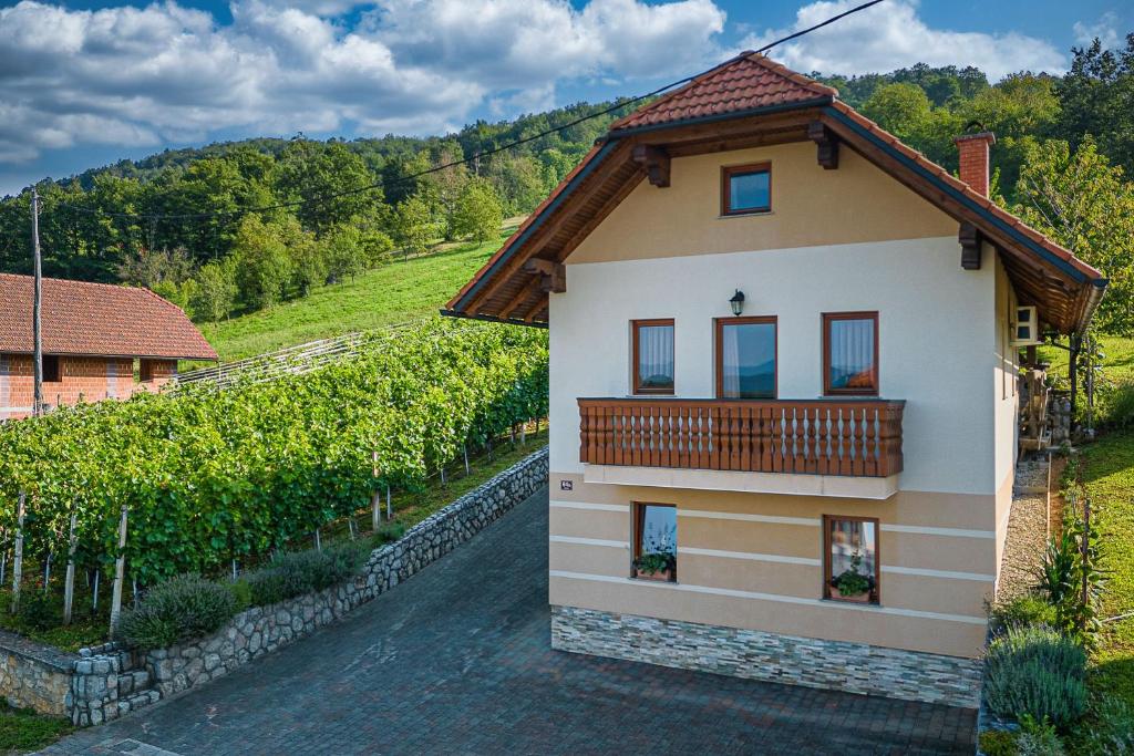 ein Haus mit einem Balkon auf einem Weinberg in der Unterkunft Vineyard Cottage Pyramid - Happy Rentals in Dobrnič