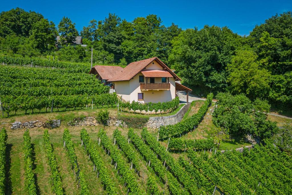 ein Haus mitten in einem Weinberg in der Unterkunft Vineyard Cottage Ucman - Happy Rentals in Otočec