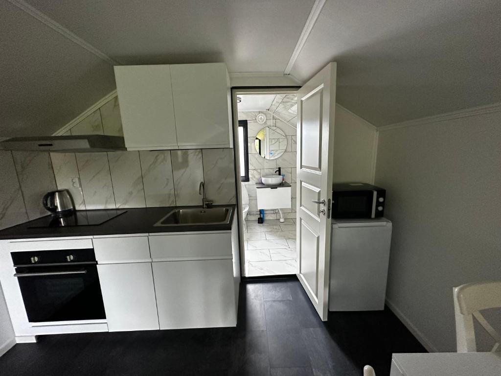 Kuchyň nebo kuchyňský kout v ubytování Luxurious apartment near citycenter