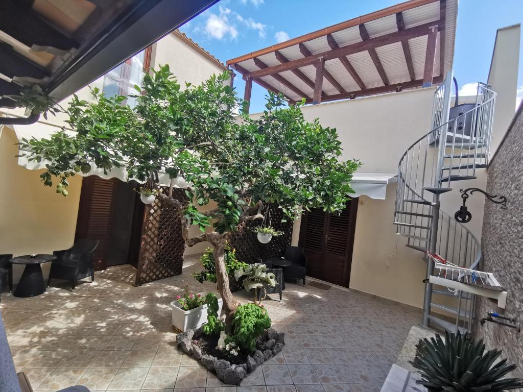a large tree in a courtyard with a staircase at Il Giardino del Sol in San Vito lo Capo