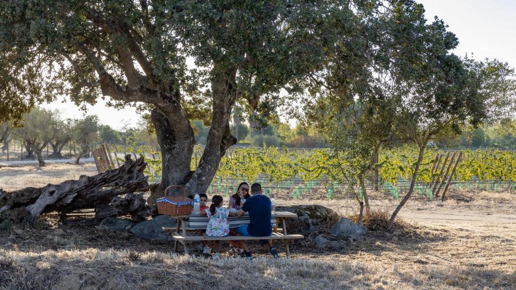 Quinta da Amendoeira - Évora - The Farmhouse - 18