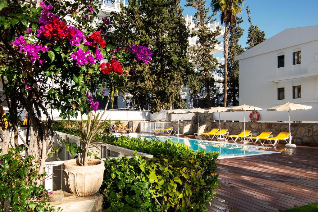 Apartamentos Montemayor - 15