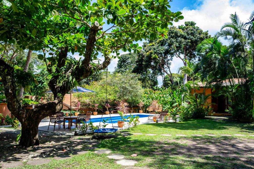 un jardin avec une piscine et un arbre dans l'établissement Casas Natureza Brasil, à Arraial d'Ajuda