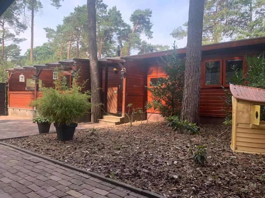 una cabaña en el bosque con un árbol en Chalet op Vakantiepark Dennerhode en Doornspijk