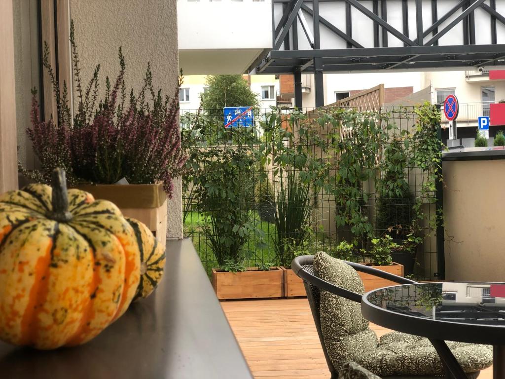 Apartament Patio Vita -garaż podziemny, taras,wejście klamka kod,centrum - 18