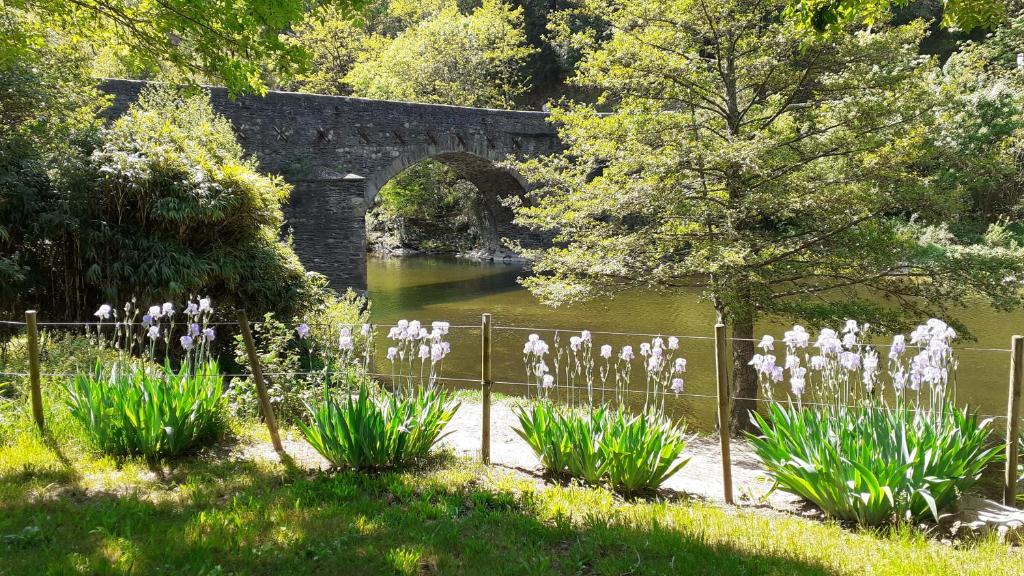un puente sobre un cuerpo de agua con flores blancas en Camping Chantemerle en Bédouès