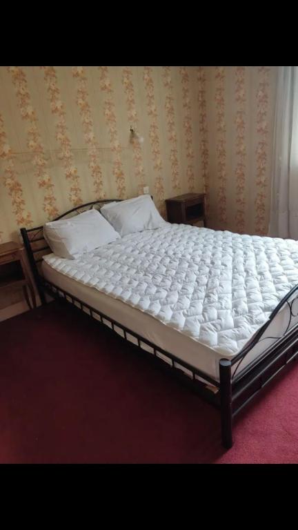 a large white bed with two pillows on it at Maison Lison gare in Moon-sur-Elle