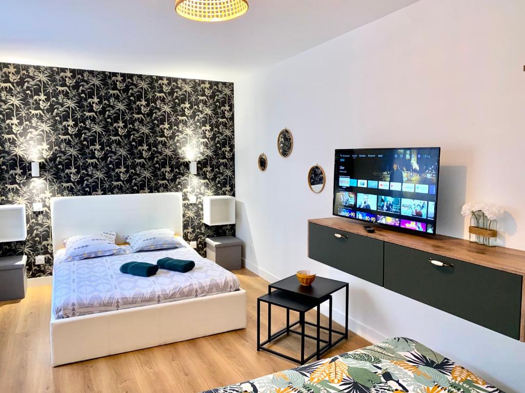 1 dormitorio con 1 cama y TV de pantalla plana en Superbe Appt avec cour et parking gratuit à 5min de la cité médiévale en Carcasona