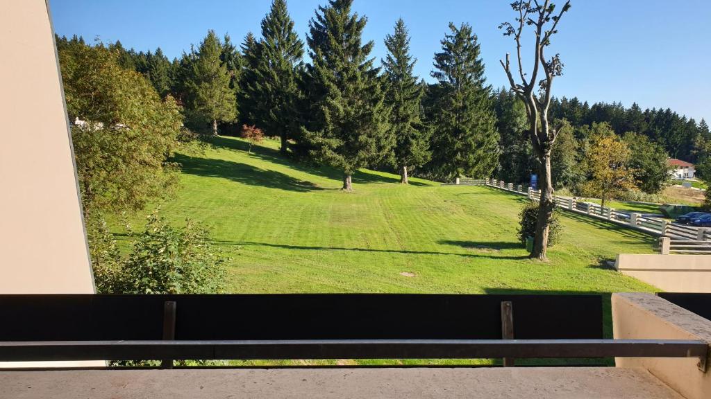 a large field of grass with a fence and trees at Apartment mit 2 Zimmer im Bayerischen Wald in Sankt Englmar