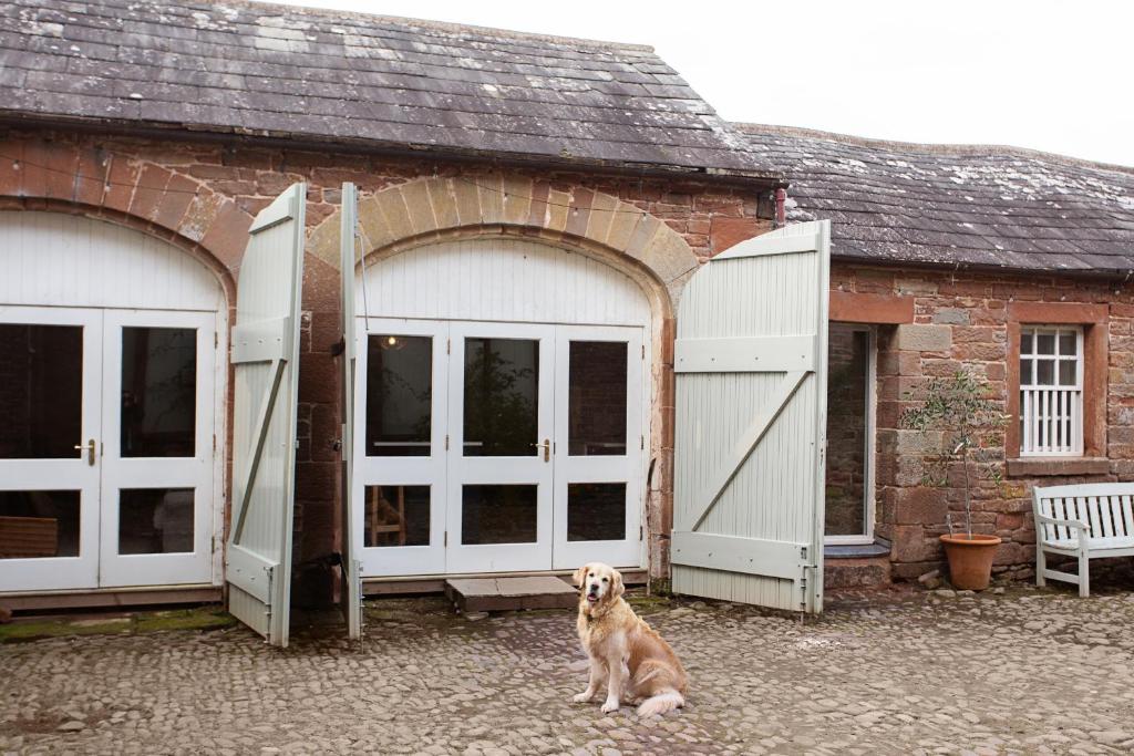 a dog sitting in front of a building at The Courtyard in Carlisle