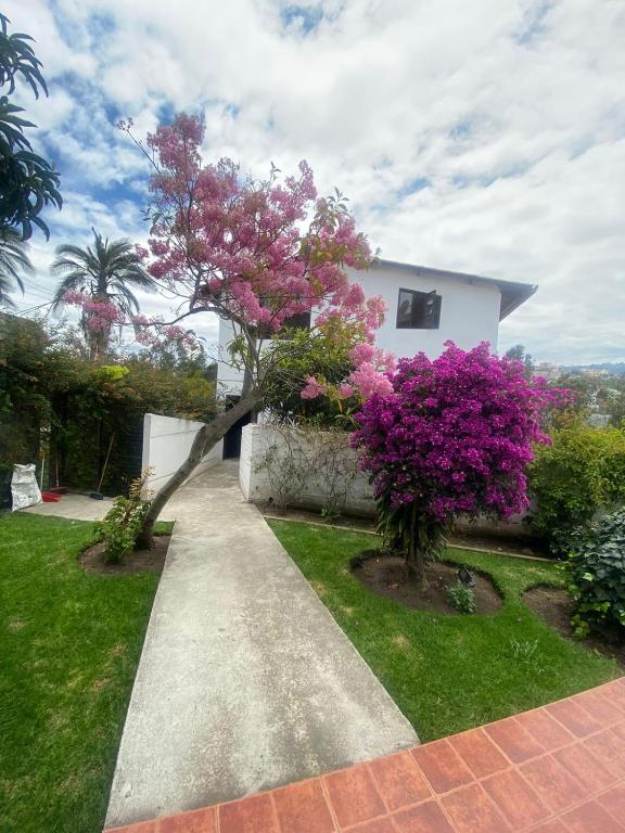 Zahrada ubytování Quinta Hotel Las Buganvillas