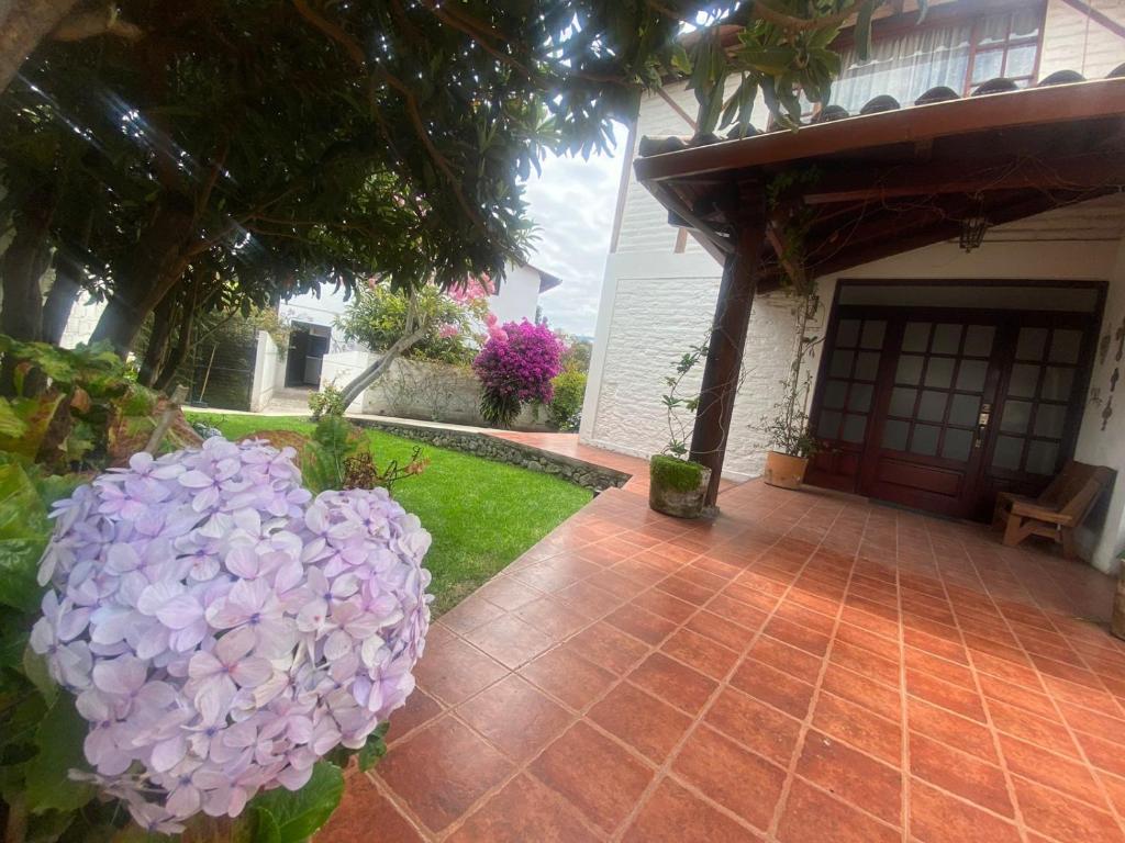Zahrada ubytování Quinta Hotel Las Buganvillas