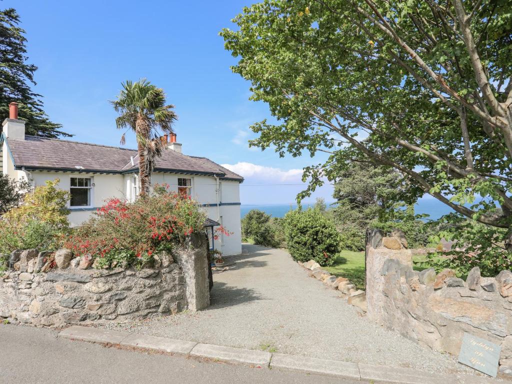 a white house with a palm tree and a stone wall at Tyddyn Ap Ifan in Penmaen-mawr