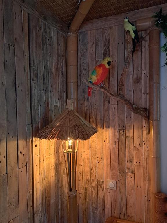 Zvířata v hodinového hotelu nebo okolí