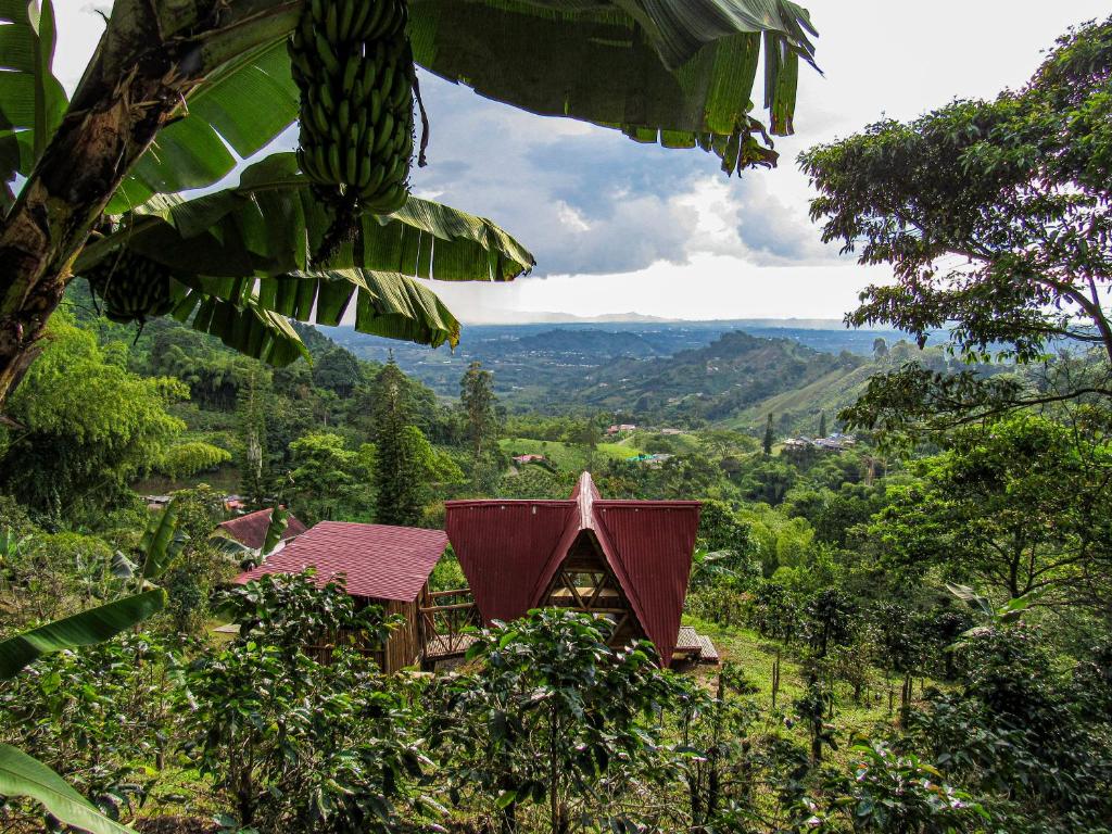 una pequeña casa en medio de un bosque en La Cabañita, en Pereira