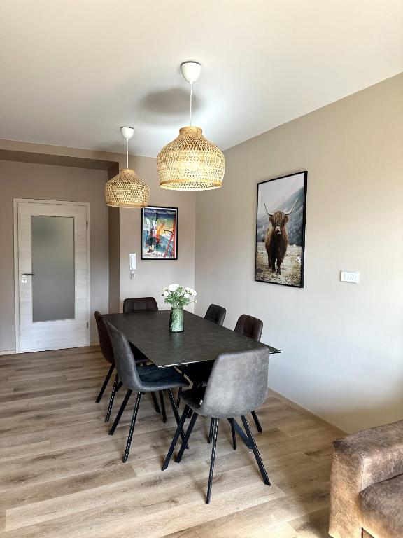 Fotografie z fotogalerie ubytování Apartmány Čerňák - Horňák - 4-6 osob, balkon, dvě parkovací místa v Černém Dole