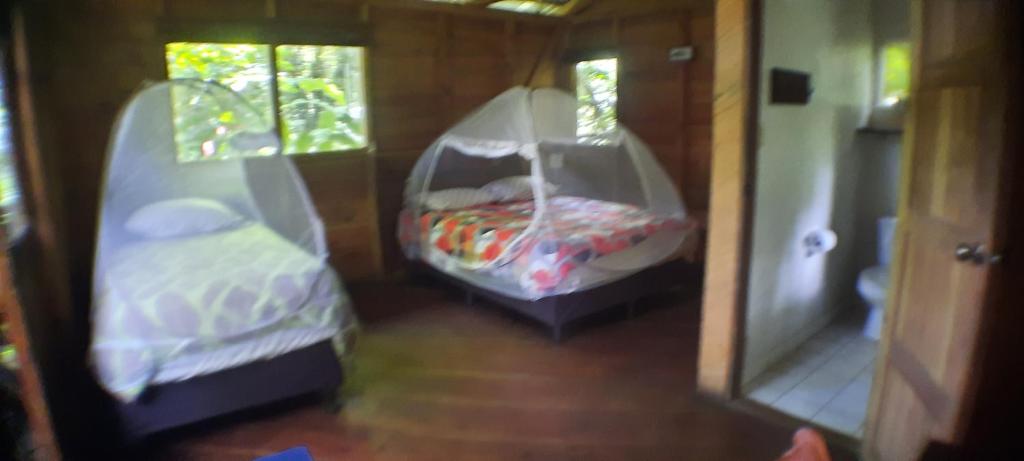 Mombacho Lodge - Deluxe Doppelzimmer (2 Erwachsene + 1 Kind)