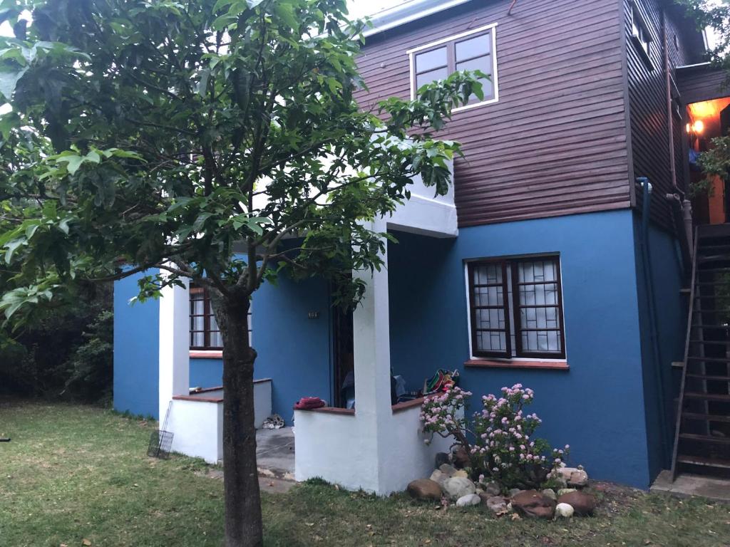 una casa blu con un albero in cortile di Stok&Hoed a Natureʼs Valley
