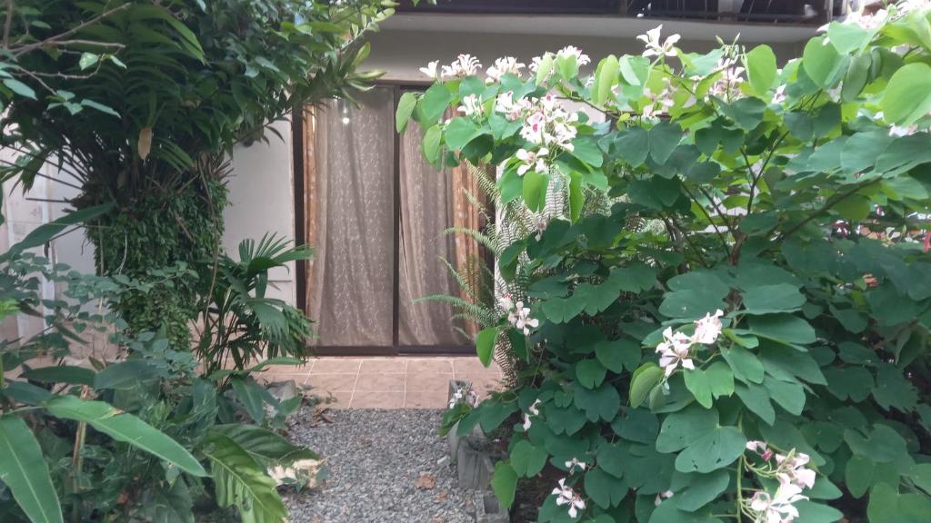 una puerta en un jardín con plantas y flores en Apartamento Cris, en Puerto Viejo