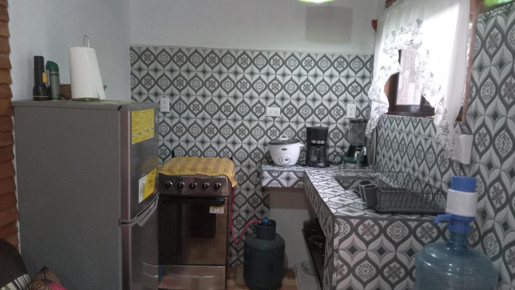 Kuchyň nebo kuchyňský kout v ubytování Apartamento Cris