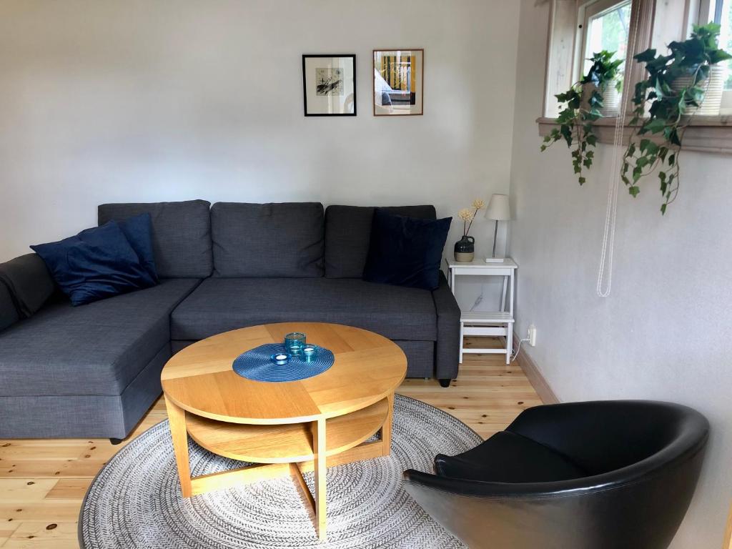 a living room with a couch and a table at Fint sjönära annex in Växjö