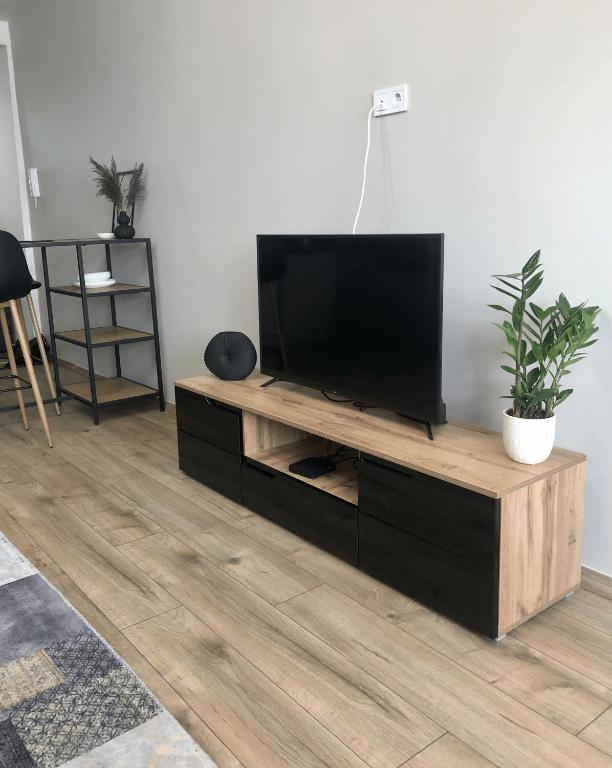 A television and/or entertainment centre at BMZ Centrum Flat