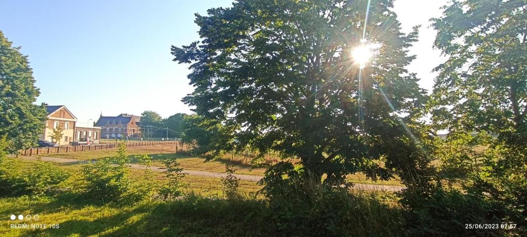 Príroda v okolí apartmánu