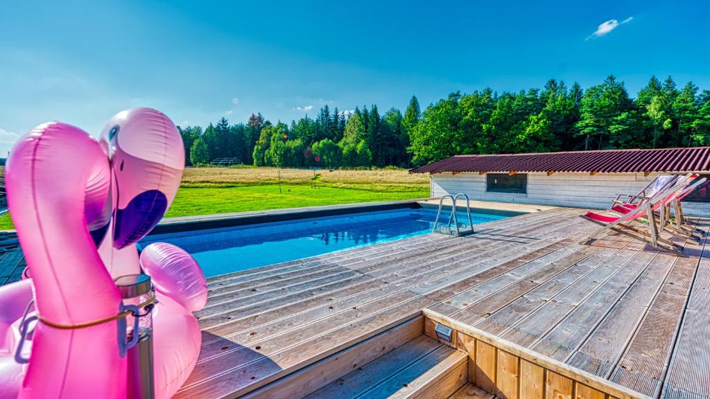 Izerska Baza - basen, ebike, narty, sauna, jacuzzi, las blisko Świeradów Zdrój - 5D Apartamenty - Studio Apartment
