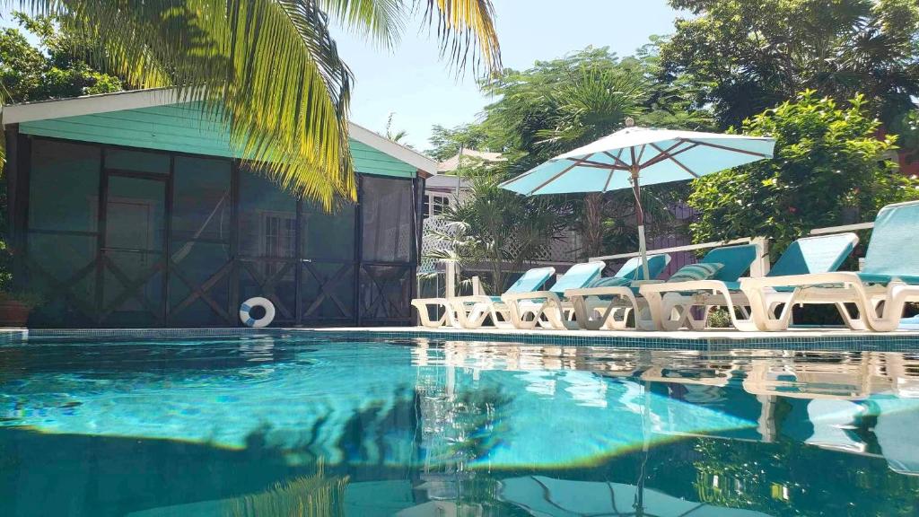 a swimming pool with chairs and an umbrella at Hummingbirds Cabins in Caye Caulker