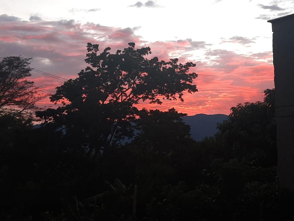 un coucher de soleil avec un arbre au premier plan dans l'établissement Quiero finquear, à Manizales