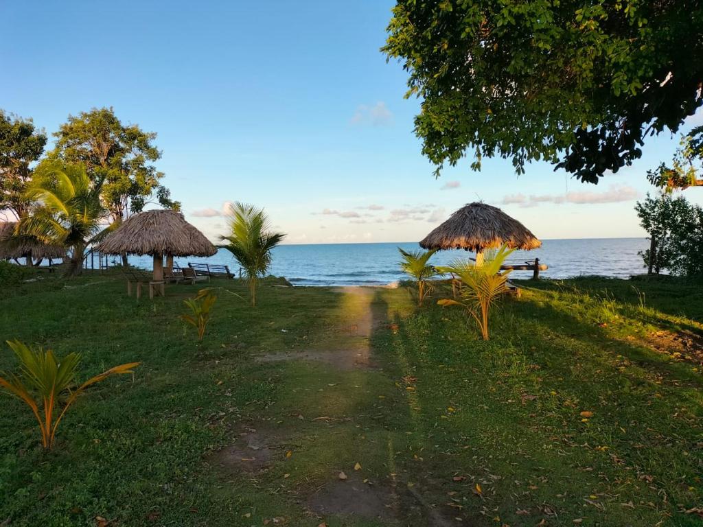 a path leading to a beach with umbrellas and the ocean at cabañas Brisas y Perla by AMAUNA in Moñitos